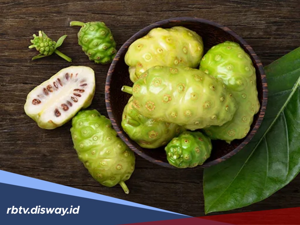 Ternyata 10 Manfaat Kesehatan Ini Bisa Kamu Rasakan jika Mengkonsumsi Buah Mengkudu