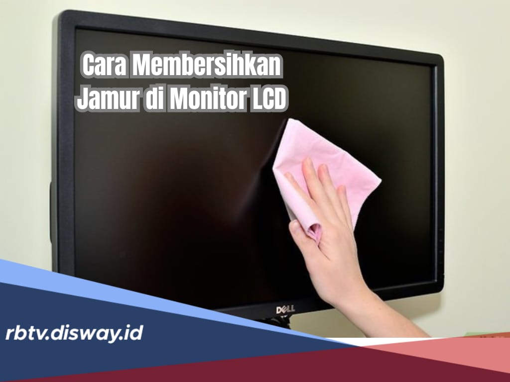 Cara Membersihkan Jamur di Monitor LCD, Begini Panduan Mudahnya agar Semakin Awet