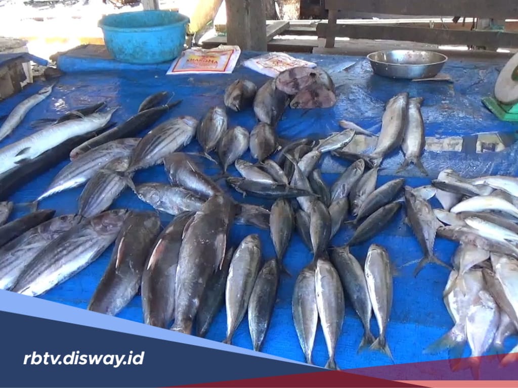 Cek Harga Ikan di Pasar Tradisional Purwodadi, Naik hingga Rp 6.000 per Kilogram