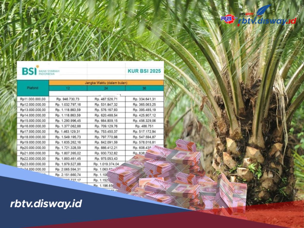 Pinjaman untuk Petani Sawit, KUR BSI 2025 Rp 80 Juta, Berapa Cicilan Paling Rendahnya?