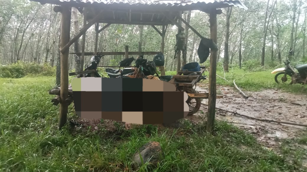 3 Karyawan PTPN VII Padang Pelawi Tersambar Petir saat Sadap Karet, 1 Tewas