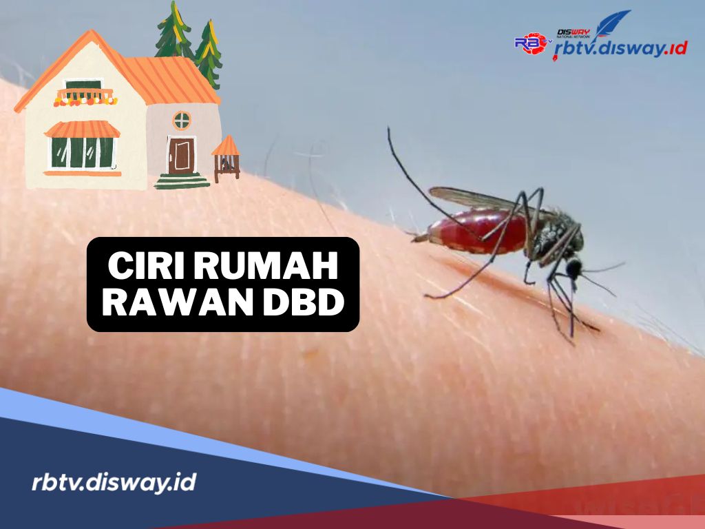 Kenali Ciri-ciri Rumah yang Rawan DBD, Waspadalah saat Musim Penghujan