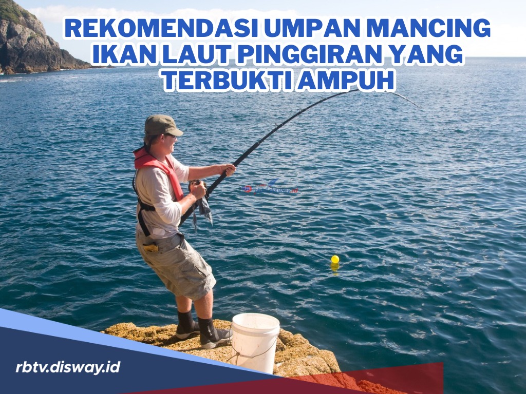 Mudah Didapatkan, Ini Rekomendasi Umpan Mancing Ikan Laut Pinggiran yang Terbukti Ampuh