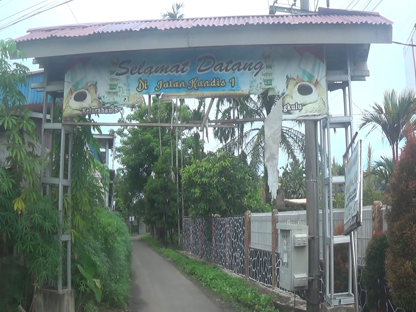 Lurah di Kecamatan Selebar Kota Bengkulu Kena Keroyok Tetangga