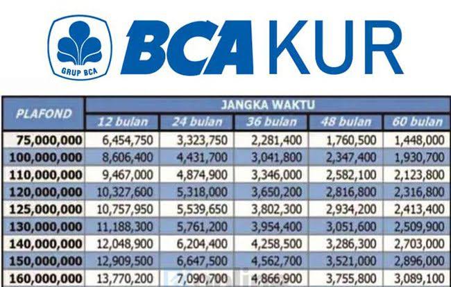 Update Angsuran KUR BCA Pinjaman Rp 50 Juta Agustus 2024, Ini Cara Ajukan Tanpa Jaminan