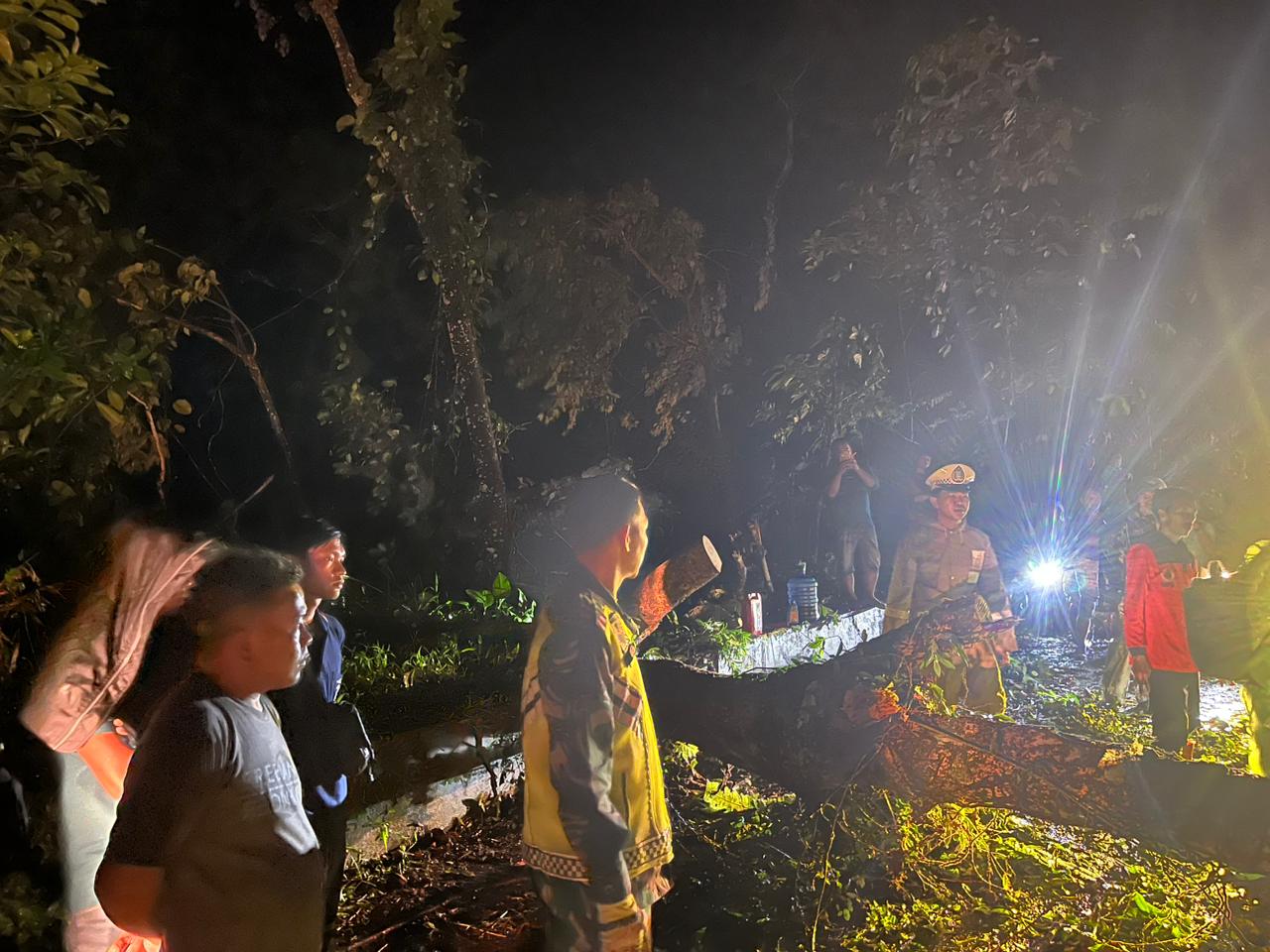 Pohon Tumbang, Jalur Lintas Kepahiang-Bengkulu Sempat Lumpuh