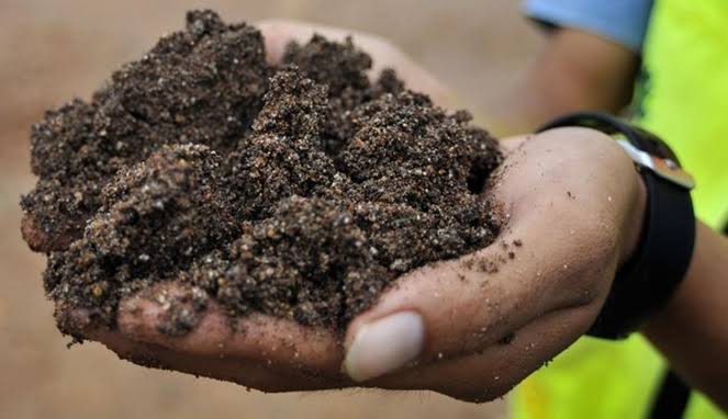 Harta Karun Logam Tanah Jarang Jadi yang Terlangka di Dunia dan Ada di Indonesia, Cek Lokasinya