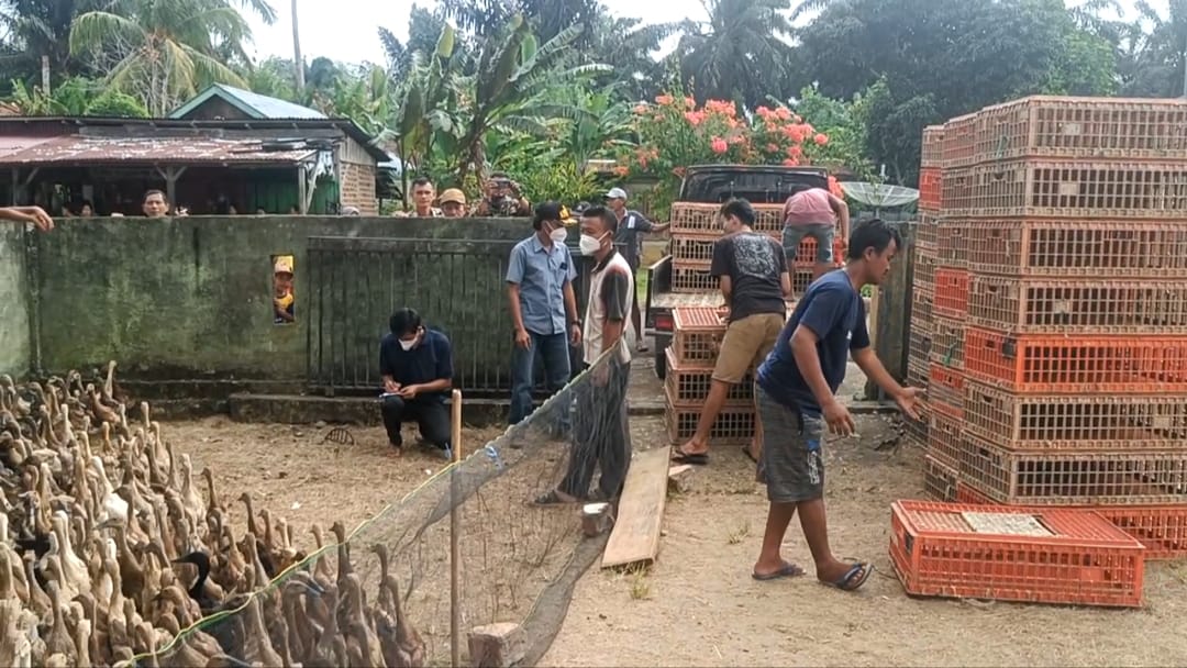 Desa ini Akan Menjadi Salah Satu Sentral Produksi Telur Asin, Melalui Program Ketahanan Pangan