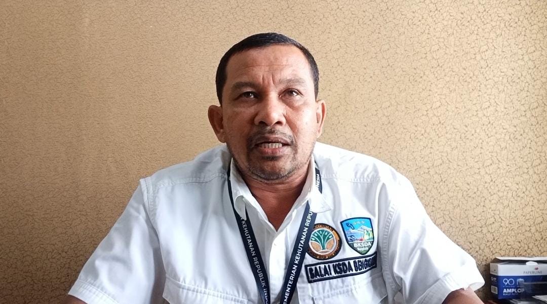 Beberapa Satwa Semakin Sulit Ditemukan di Rejang Lebong
