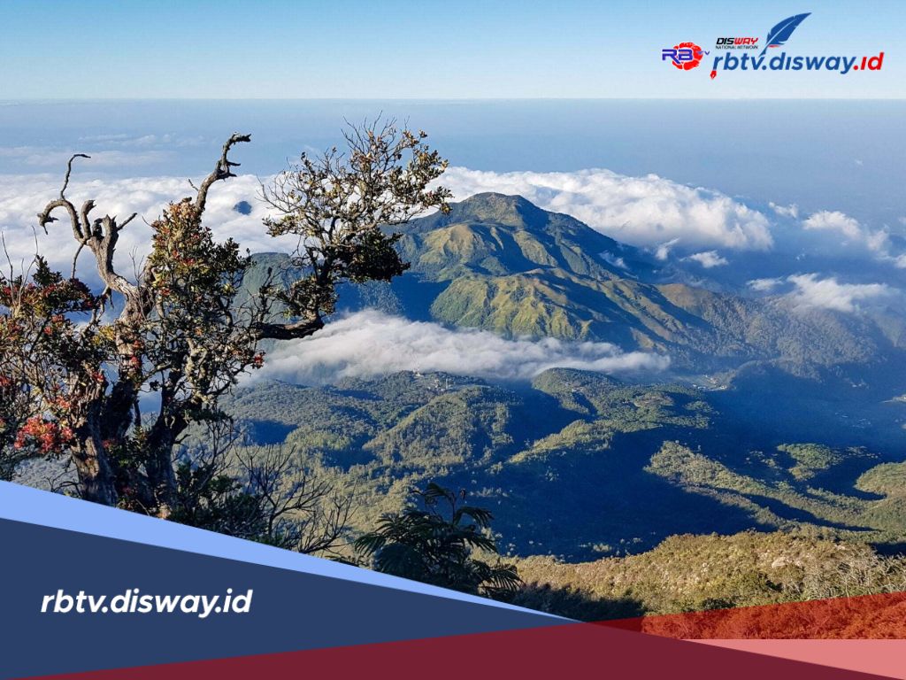 Jalur Pendakian Gunung Lawu via Candi Cetho dengan Estimasi Tiba di Puncak Selama 8 Jam