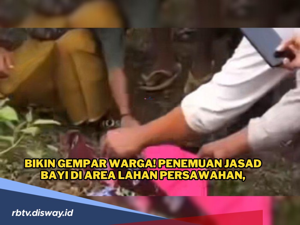 Pasangan Muda Kuburkan Bayi Berusia 5 Bulan di Area Persawahan, Ngaku Jasad Kucing