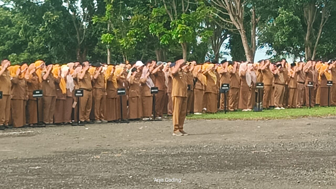 Data PPATK: Dari Kepala Dinas hingga PPPK Paruh Waktu di Pemkab Seluma Terdeteksi Main Judi Online