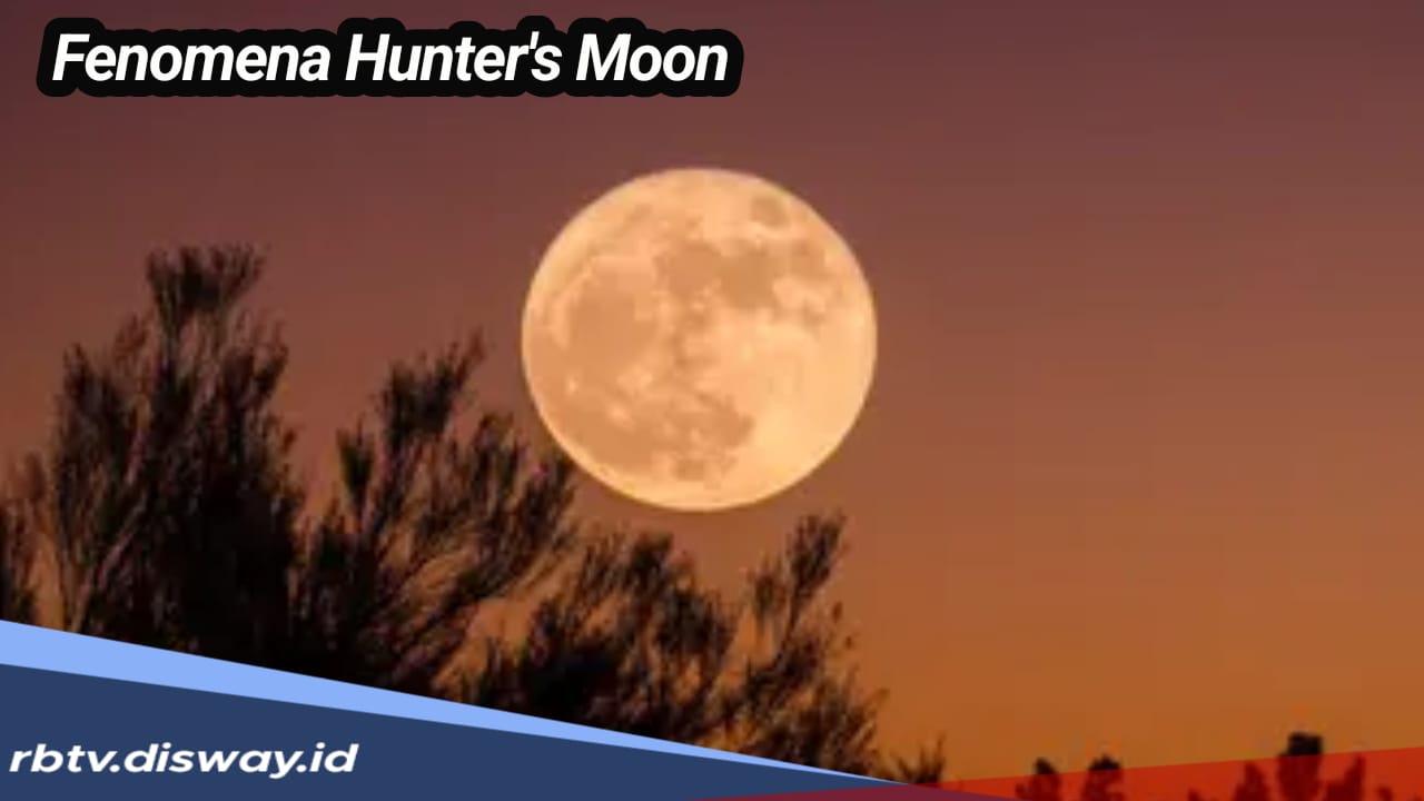 Jangan Lewatkan, Malam Ini Ada Fenomena Langit Hunter’s Moon 