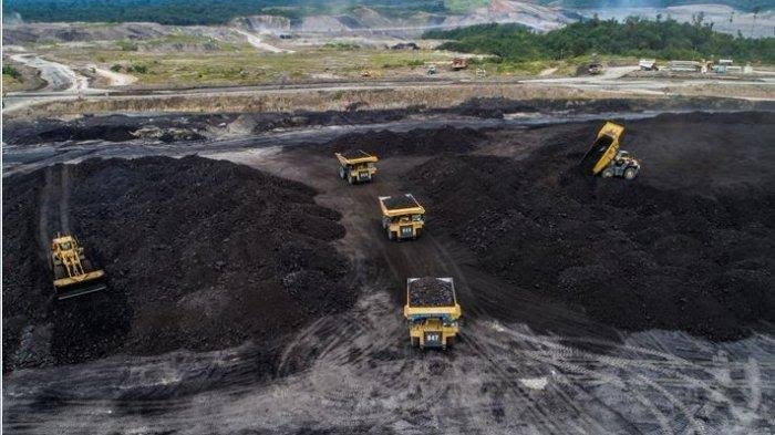 Cadangan Lebih 500 Juta Ton Harta Karun Emas Hitam di Sumatera, Berada di 3 Lokasi Termasuk Aceh