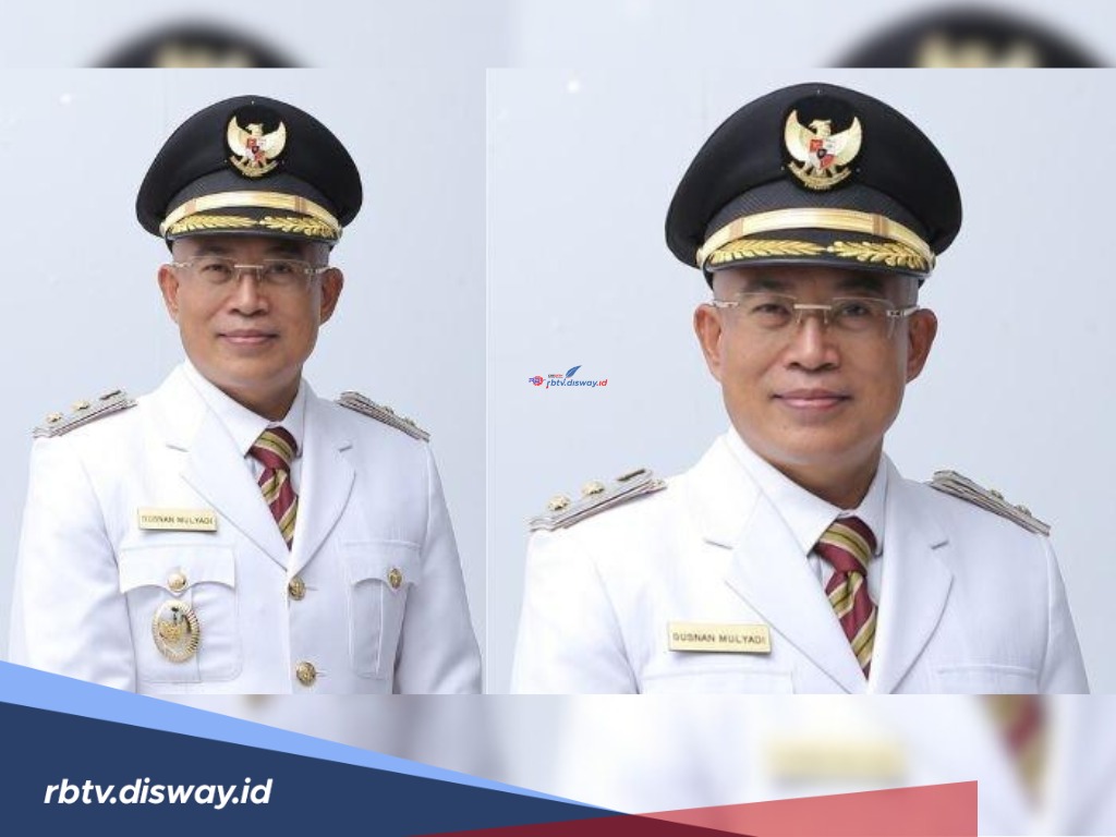Gusnan Mulyadi Diskualifikasi, Pemilihan Bupati Bengkulu Selatan PSU