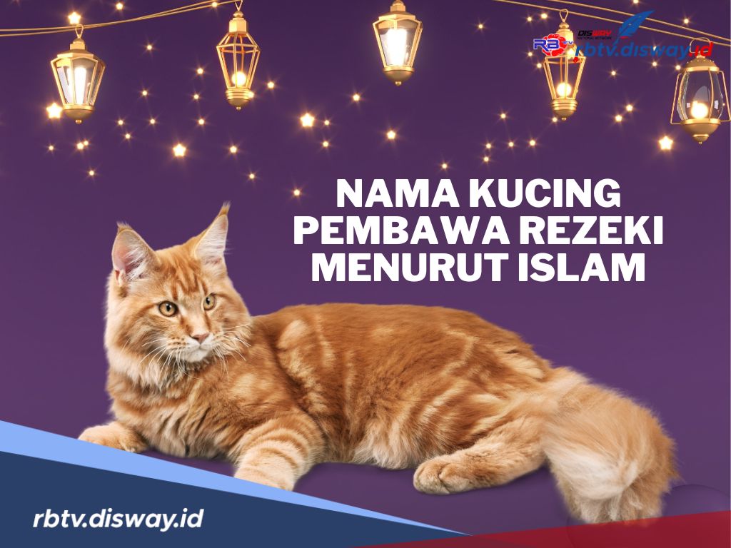 Rekomendasi Nama-Nama Kucing Pembawa Rezeki Menurut Islam Sesuai Abjad