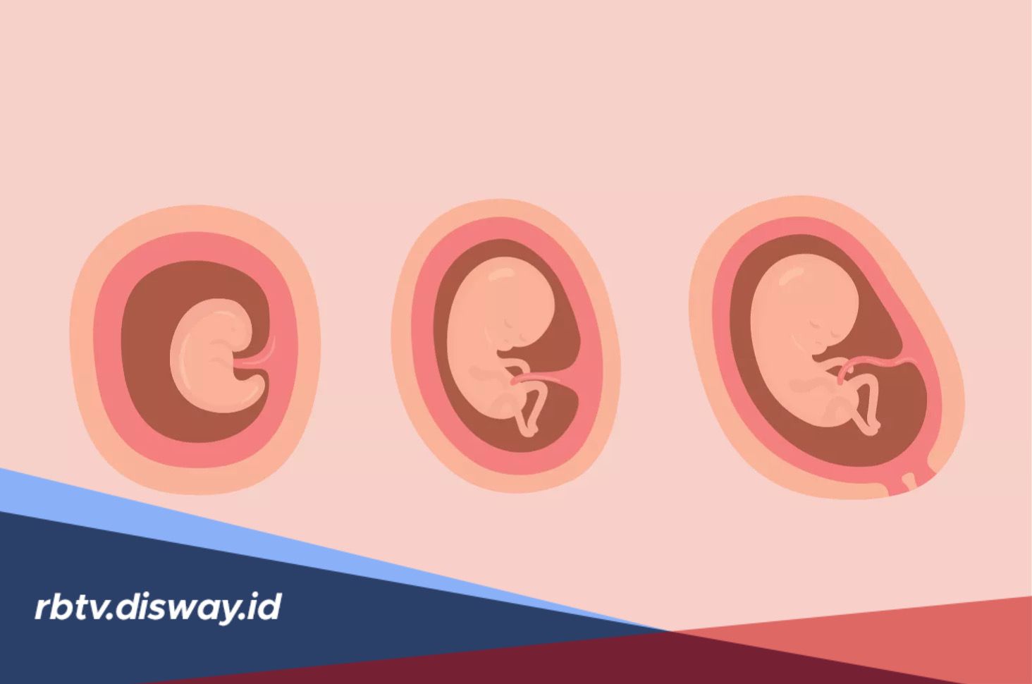 Macam-macam Perubahan yang Dirasakan Wanita Hamil Pada Trimester Satu 