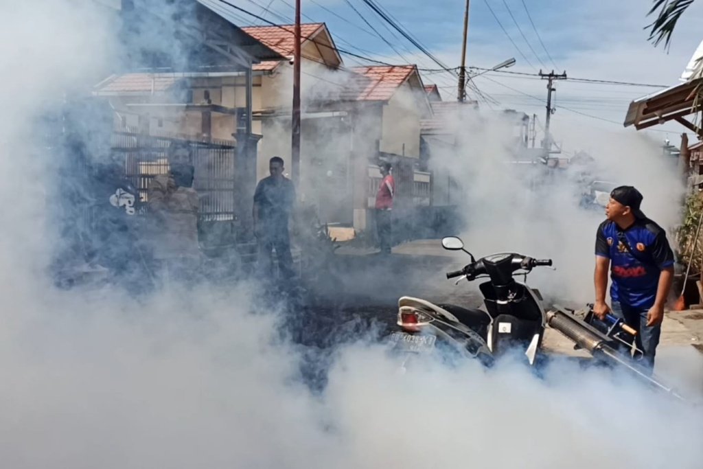 Waspada, Kasus DBD di Rejang Lebong Meningkat 5 Kali Lipat, Dinkes Minta Warga Lakukan Hal Ini