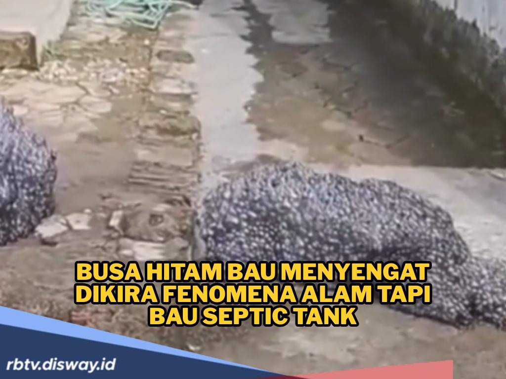 Busa Hitam Misterius Bikin Heboh Warga di Subang, Fenomena Apa Itu?