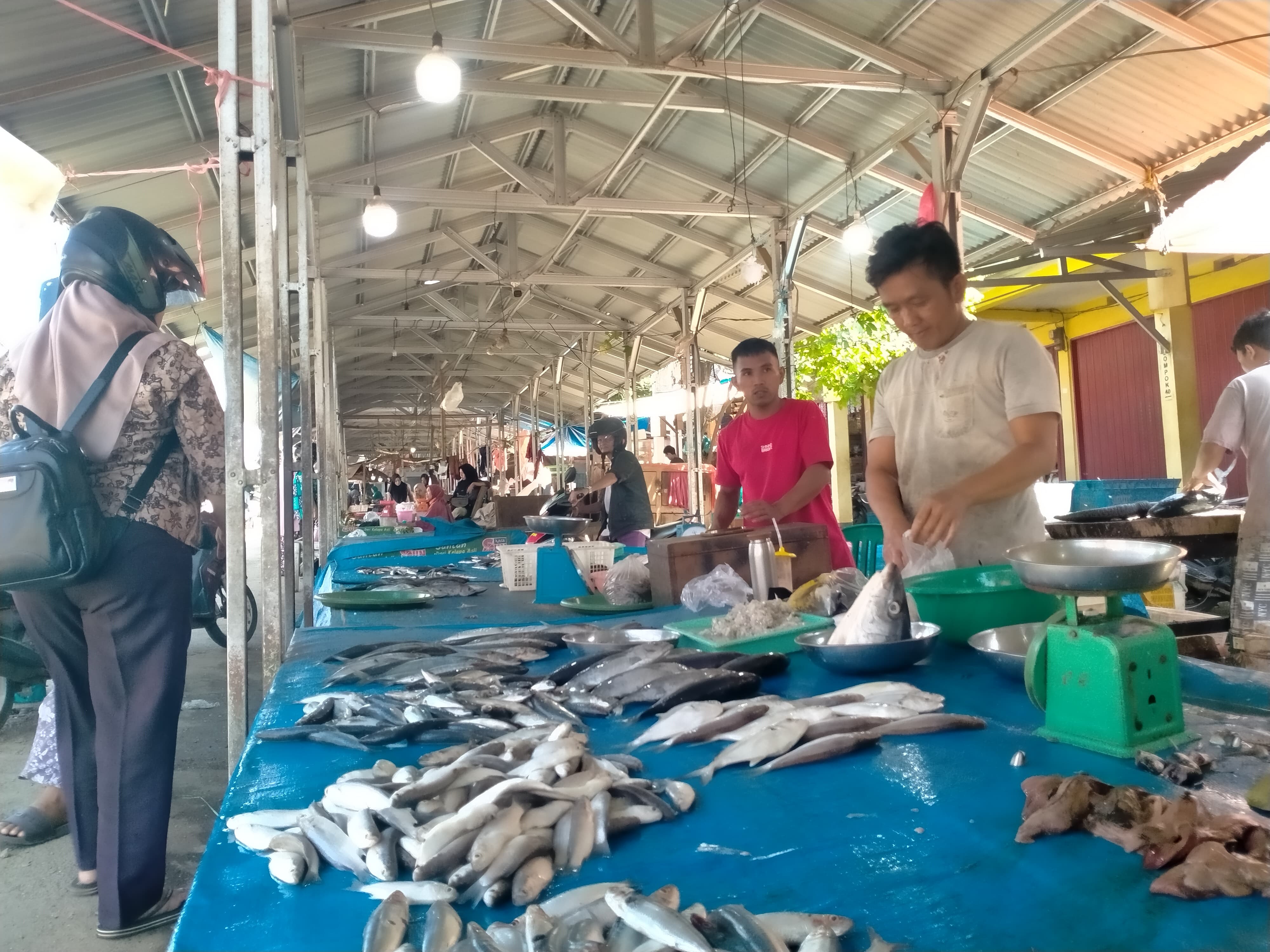 Dampak Cuaca Ekstrim, Segini Harga Ikan Laut yang Melambung Tinggi di Bengkulu Utara