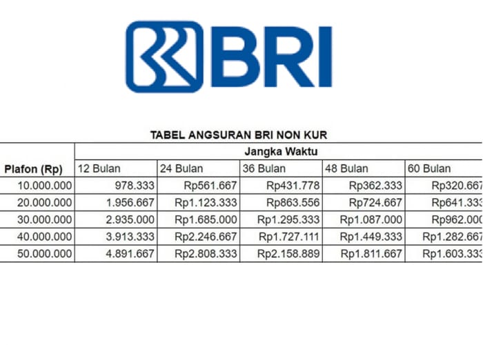 Cara Cairkan Dana KUR BRI 2025 Pinjaman 25 Juta Secara Online, Cek Bunga dan Cicilan per Bulan
