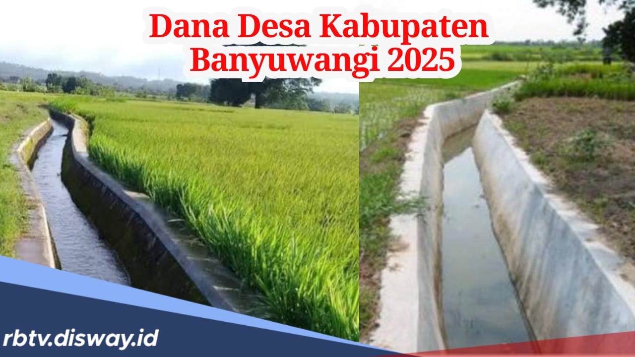 Rincian Dana Desa Kabupaten Banyuwangi 2025, Ini Daftar Desa yang Terima Anggaran hingga Rp 2 Miliar