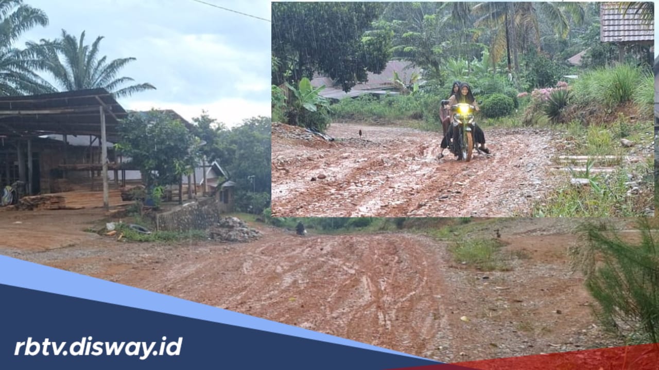 Jalan di 4 Desa Kecamatan Air Rami Batal Dibangun, Pemkab Tetap Berupaya Melakukan Pembangunan