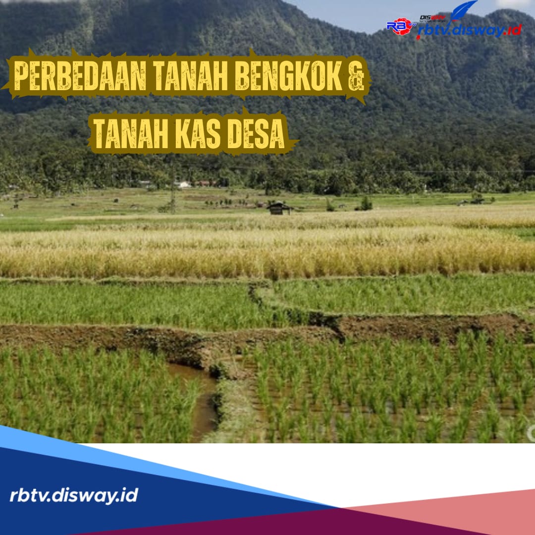 Sering Bikin Bingung, Ini Perbedaan Tanah Bengkok dan Tanah Kas Desa