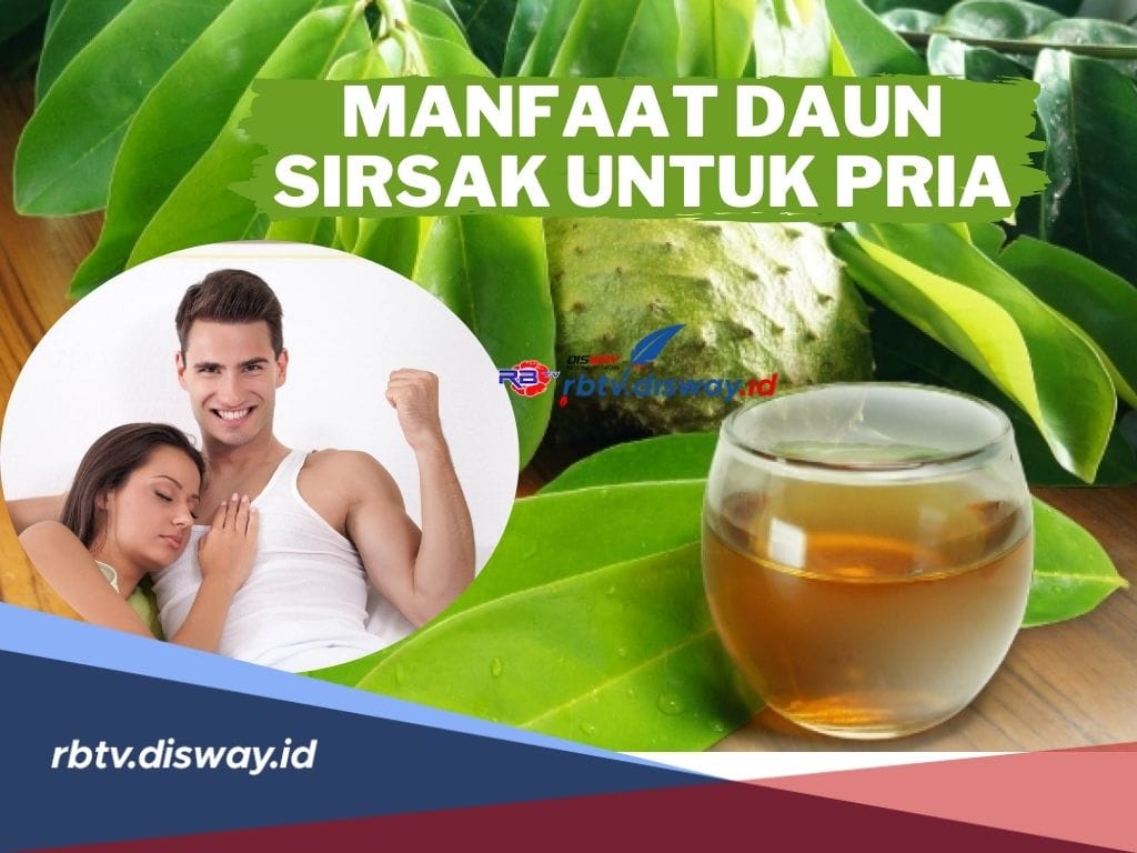 Manfaat Rebusan Daun Sirsak Meningkatkan Stamina Pria, Begini Cara Konsumsinya