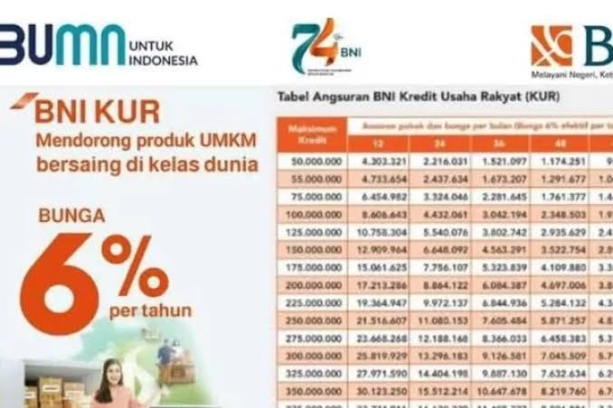 Peluang Besar dari Pengajuan KUR BNI 2025 Plafon Rp 10-Rp 50 Juta untuk Pebisnis Pemula