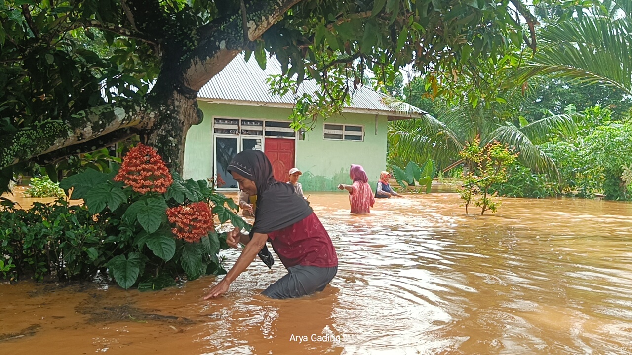  Diguyur Hujan 12 Jam, Sungai Air Nelas Meluap dan Ratusan Rumah di Cahaya Negeri Seluma Terendam Banjir 