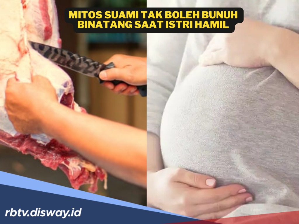 Benarkah Jadi Pertanda Buruk? Berikut Mitos Suami Tak Boleh Bunuh Binatang Saat Istri Hamil