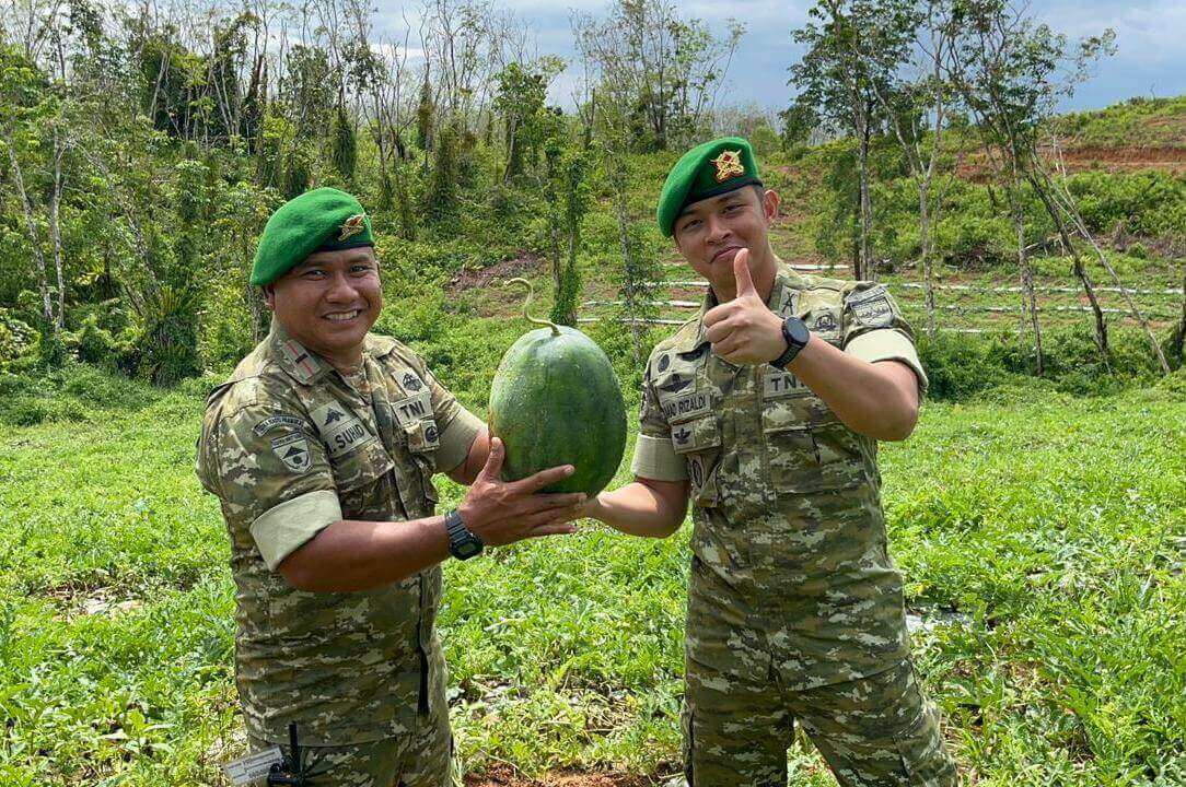Program Ketahanan Pangan Yonif TP 847/VS, Panen 5 Ton Semangka