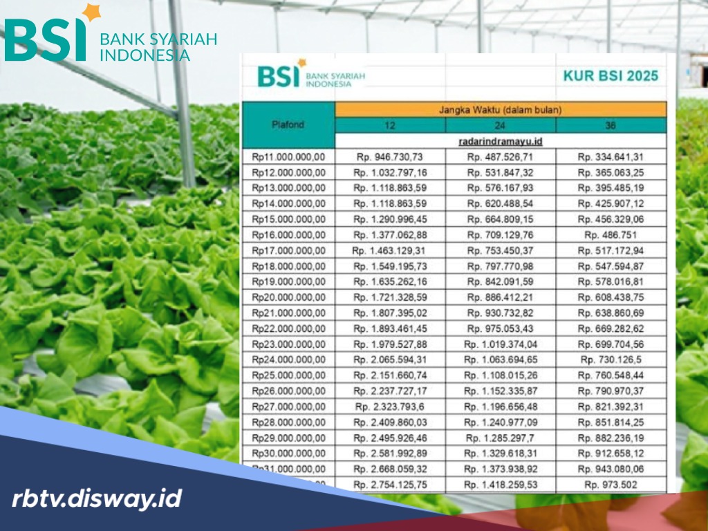 KUR BSI 2025, Modal Usaha Tani hingga Rp 350 Juta, Segini Angsurannya