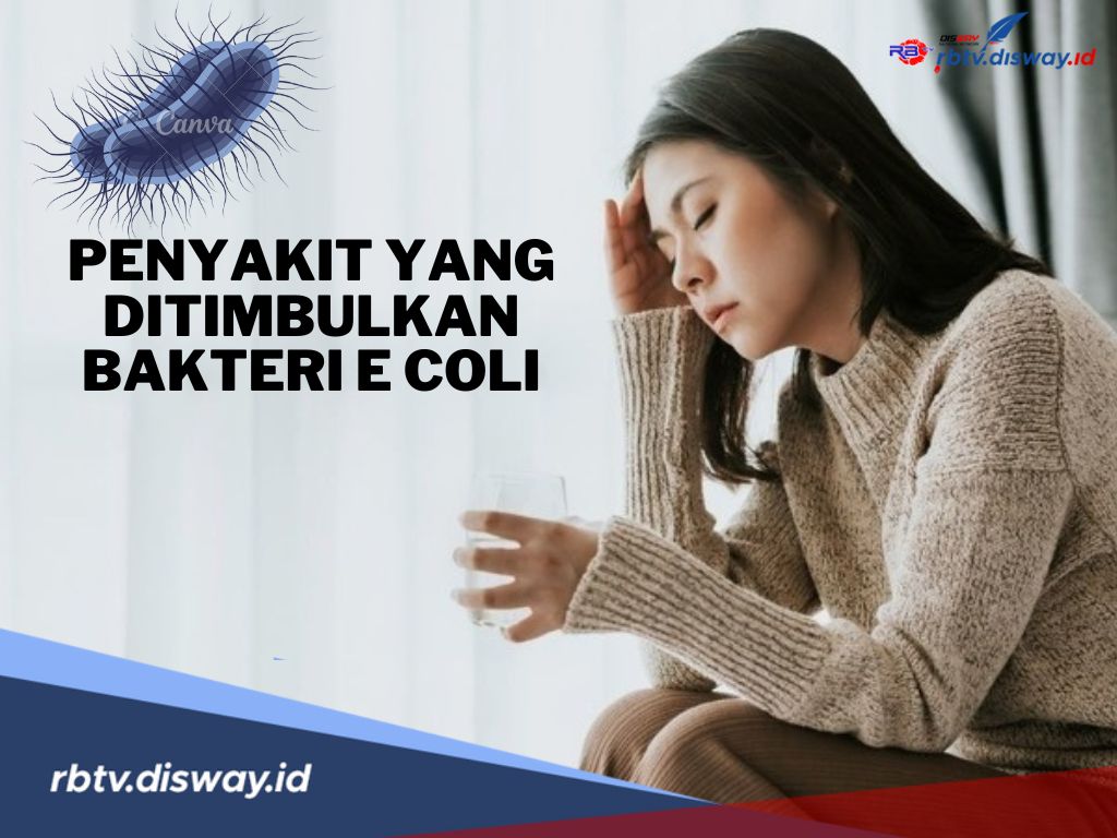 Hati-hati, 4 Penyakit Berbahaya Ini Berpotensi Muncul Akibat Bakteri E.Coli, Begini Cara Menanganinya