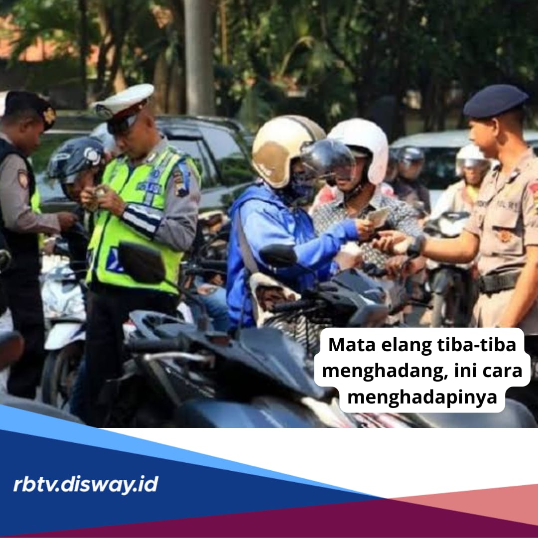 Jangan Panik, Ini 11 Cara untuk Menghadapi Mata Elang Tiba-tiba Menghadang