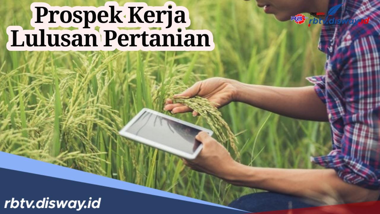 Kuliah Jurusan Pertanian Kerjanya Apa Saja? Ini Prospek Kerjanya, Peluang Karir Menjanjikan