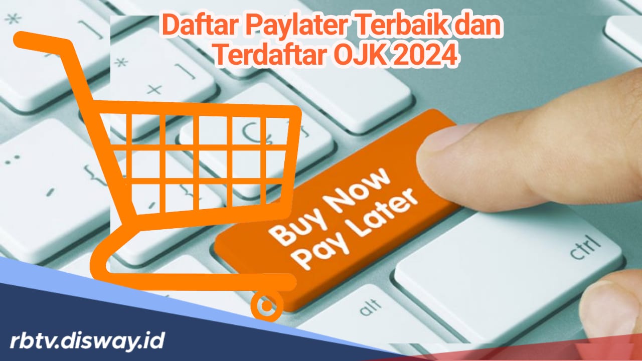 Daftar 5 Paylater Terbaik dan Terdaftar OJK 2024, Nomor Satu Paling Diminati!