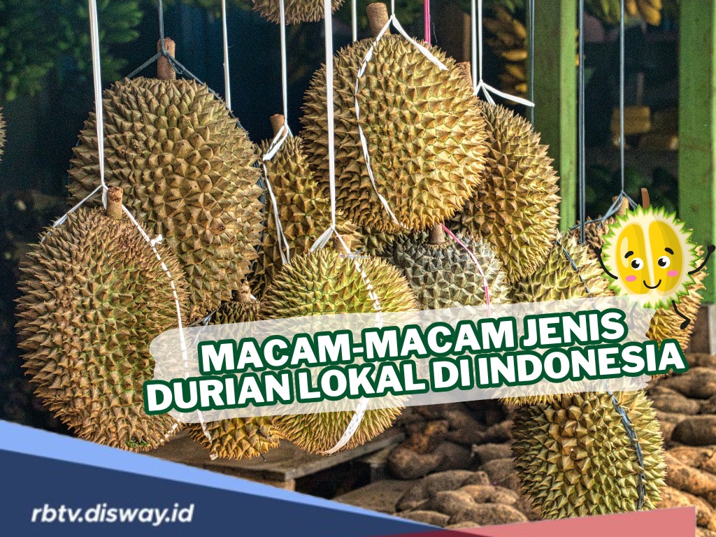 Jenis Durian Lokal di Indonesia, Punya Ciri-ciri Unik dan Khas, Mana yang Jadi Favorit?