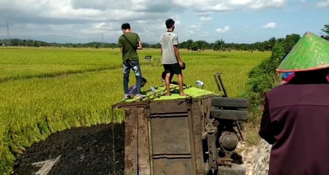 Elak Tabrakan, Dump Truck Batubara Pilih Nyemplung ke Sawah 