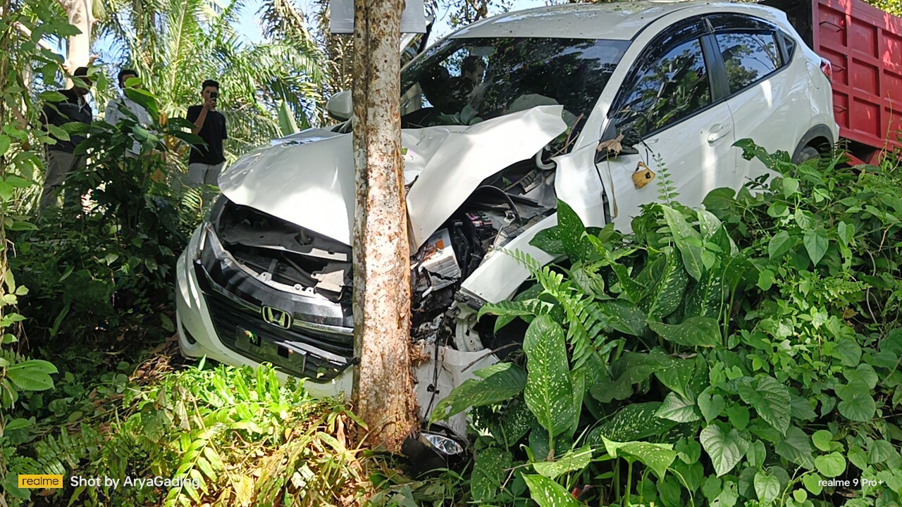 Honda HRV Tabrak Pohon Duku di Seluma, Begini Kronologisnya