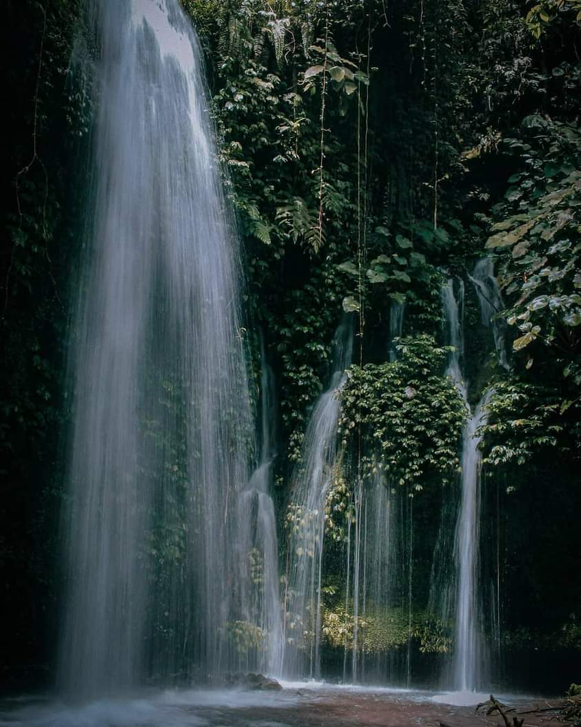 Sensasi Peyek Daun Kopi, Stik Unji dan Stik Rebung di Desa Wisata Unggulan Indonesia