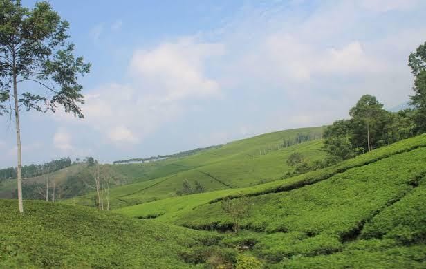 Bupati Kepahiang Terlanjur Kecewa dengan PT Tums, Izin Tidak Bakal Diperpanjang