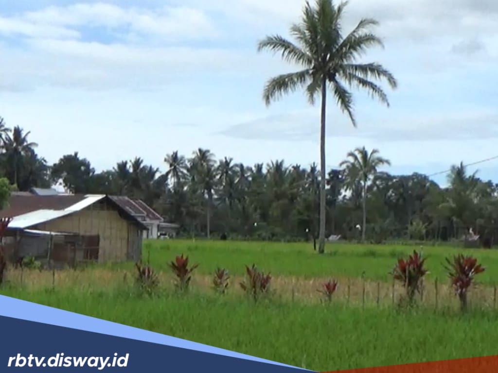 360 Hektare Lahan di Rejang Lebong Siap untuk Cetak Sawah Baru, Ini Lokasinya
