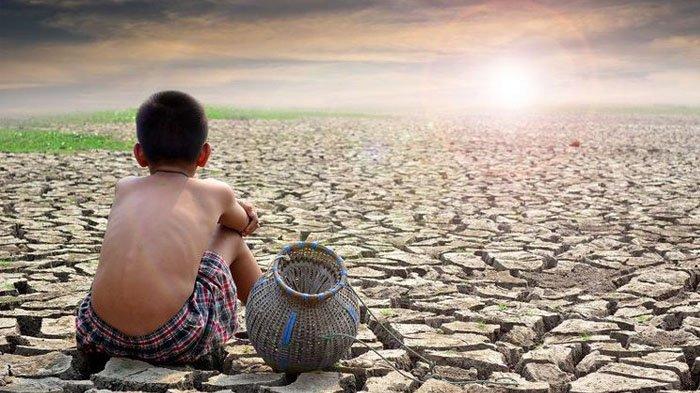 Ini Daftar Wilayah yang Mengalami Kemarau di Atas dan Bawah Normal, Daerahmu Termasuk? 