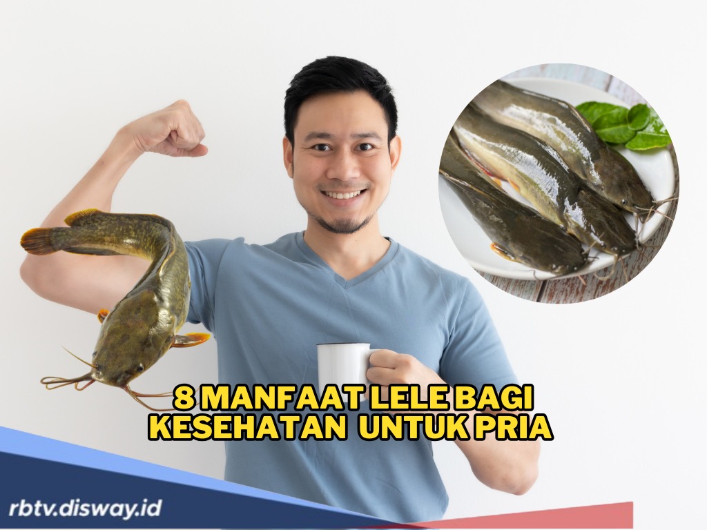 8 Manfaat Ikan Lele untuk Pria yang Jarang Diketahui, Coba dan Rasakan Langsung Khasiatnya