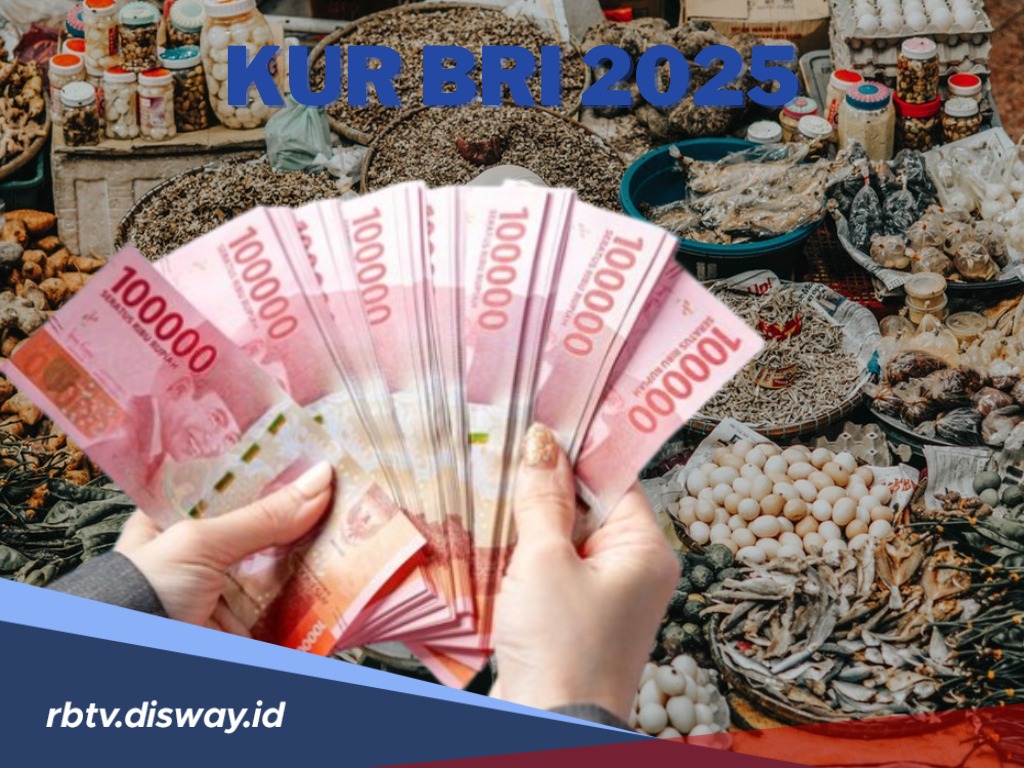 4 Kriteria Usaha Pelaku UMKM, Pinjaman KUR BRI 2025 Pasca Survei Langsung Cair