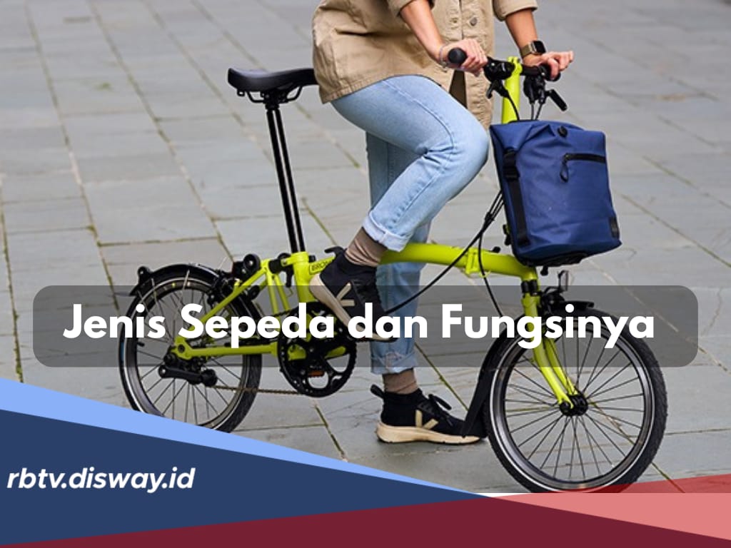 8 Jenis Sepeda Berdasarkan Fungsinya, Pahami Sebelum Membeli Biar Sesuai Karakter Pengguna