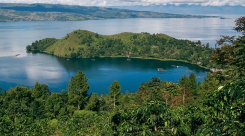 Bagian Barat Pulau Emas Suwarnadwipa, Ternyata Punya Simpanan Emas yang Berada di Hutan Lindung