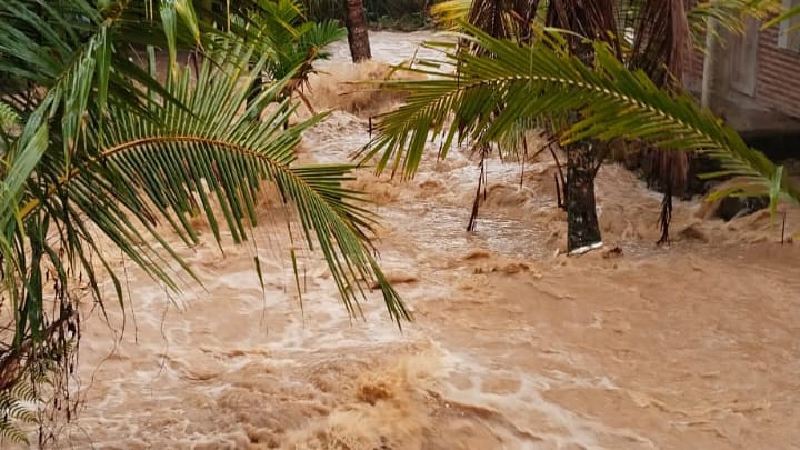 Banjir Rendam Sawah dan Pemukiman Penduduk Warga Desa Lubuk Resam